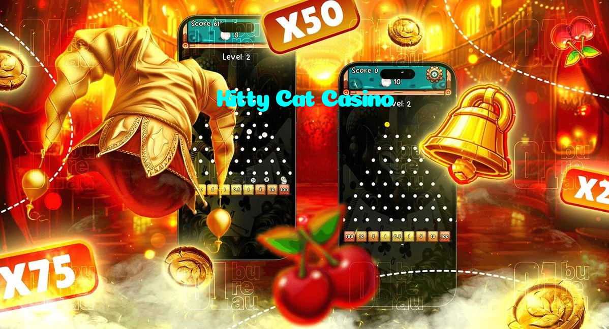 available types of Kitty Cat Casino bet including pre-match live express and system bets