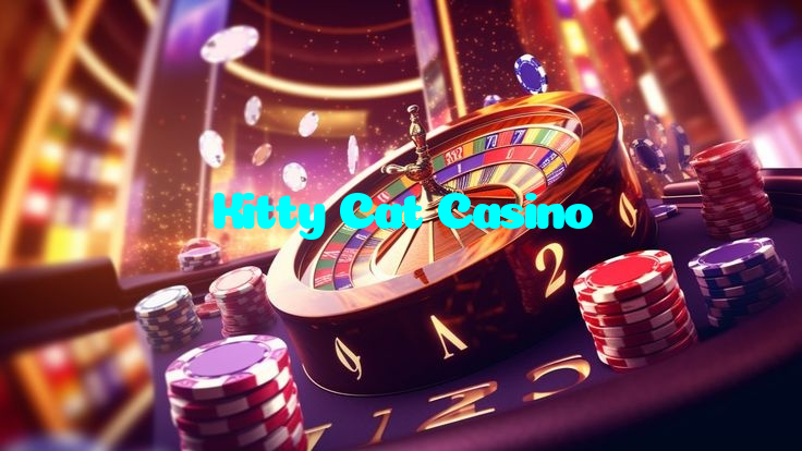 available types of Kitty Cat Casino bet including pre-match live express and system bets
